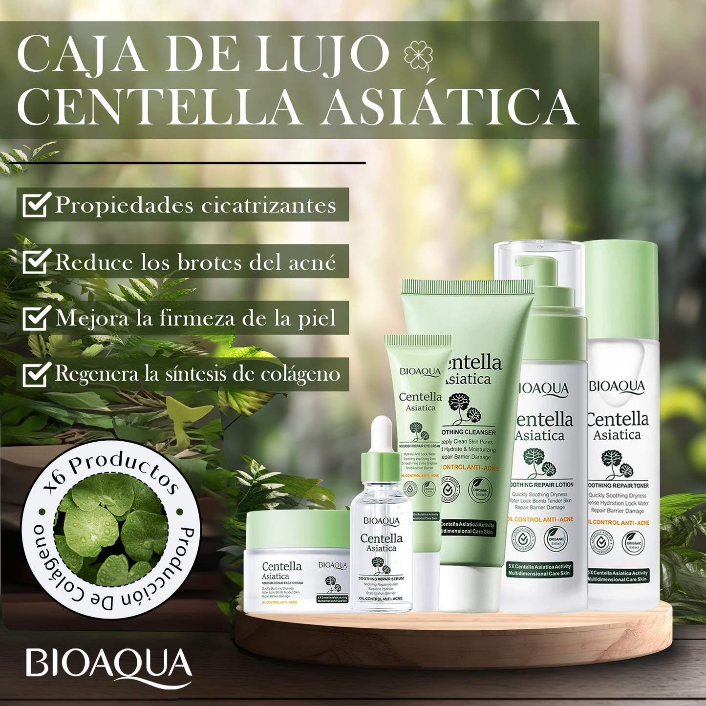 CENTELLA ASIÁTICA
